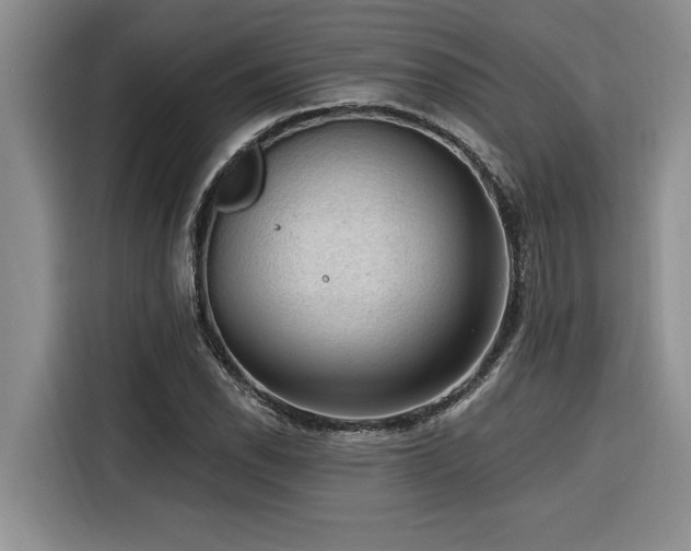 X0000116551118200912101407