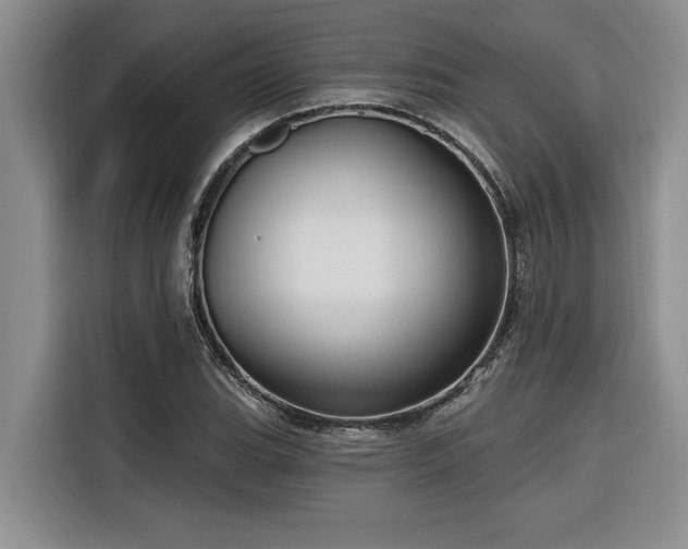 X0000116551119200912101407