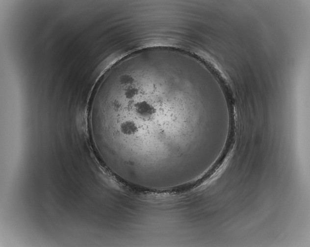 X0000116551121200912101407