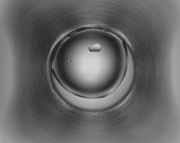 X0000116551122200912101407