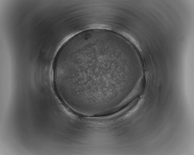 X0000116551125200912101407