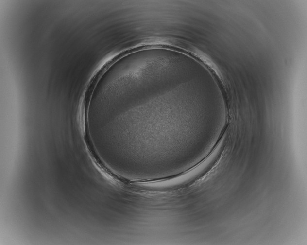 X0000116551127200912101408