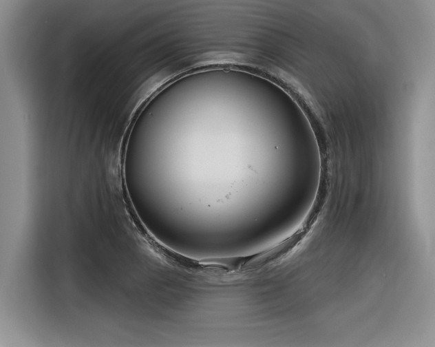 X0000116551129200912101408