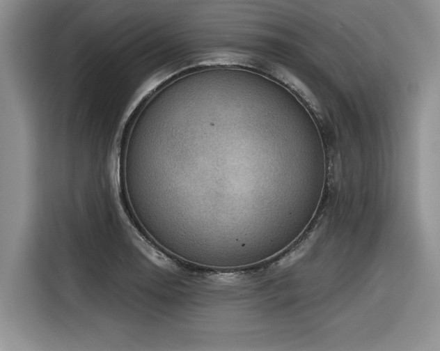 X0000116551130200912101408