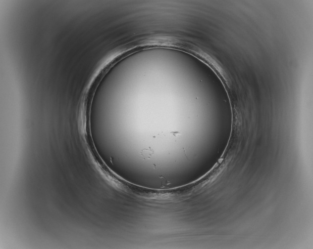 X0000116551131200912101408