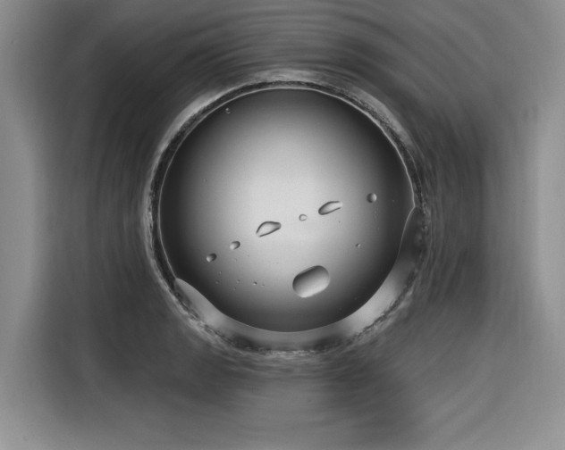 X0000116551133200912101408