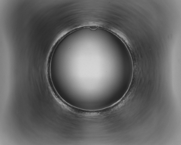 X0000116551135200912101408