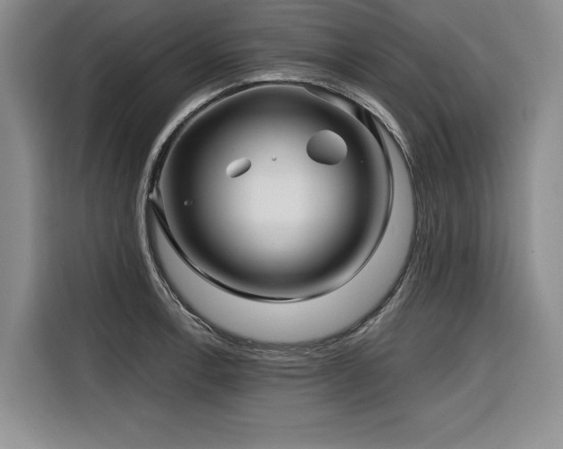 X0000116551138200912101408