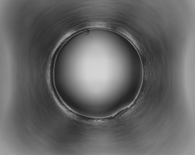 X0000116551139200912101408