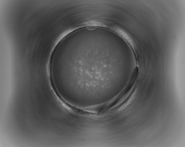 X0000116551141200912101408