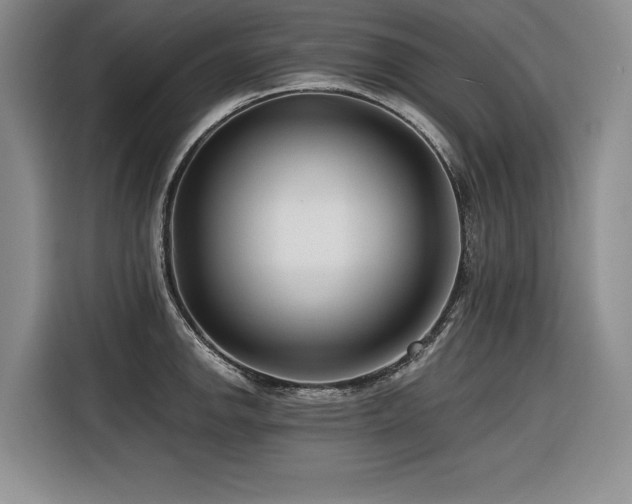 X0000116551142200912101408
