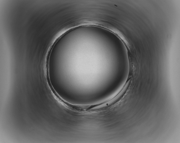X0000116551143200912101408