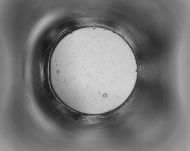 X0000116551150200912101408