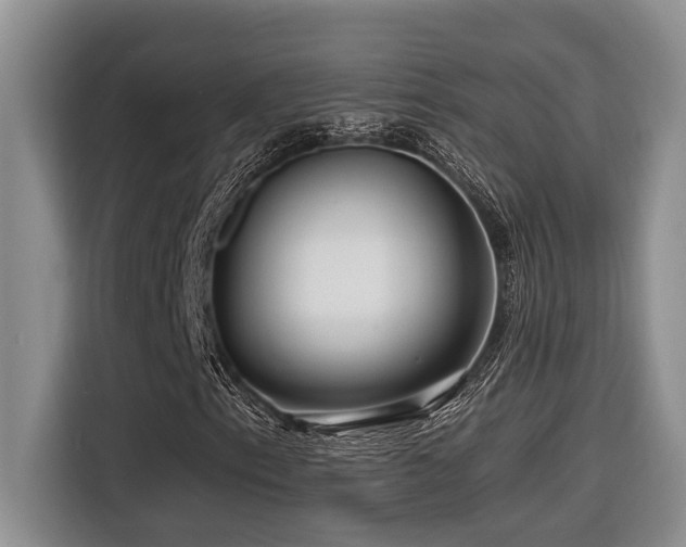 X0000116551153200912101407