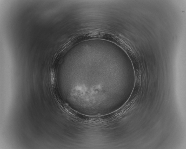 X0000116551154200912101407