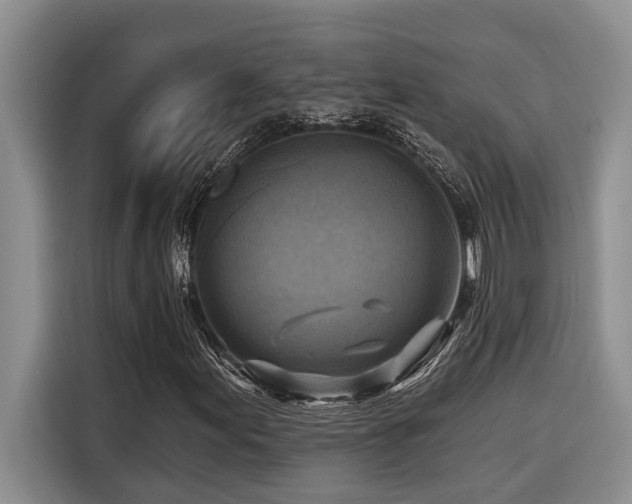 X0000116551155200912101407