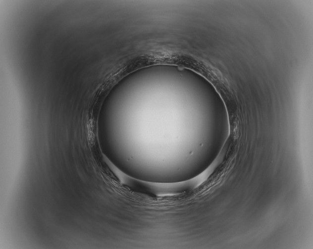 X0000116551156200912101407