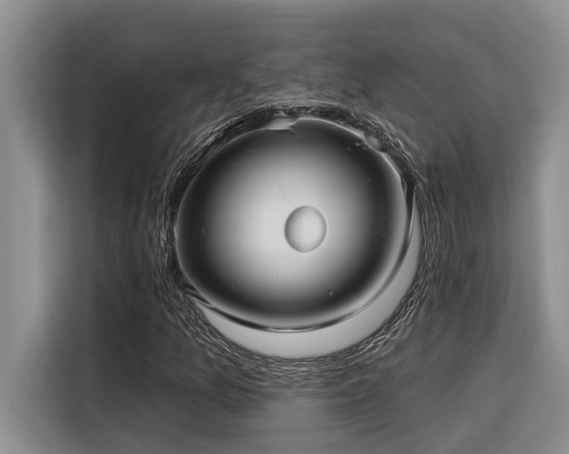X0000116551157200912101407