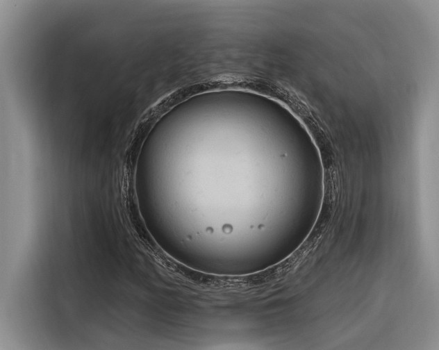 X0000116551158200912101407