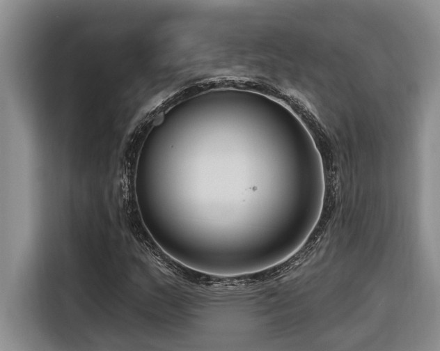 X0000116551159200912101407