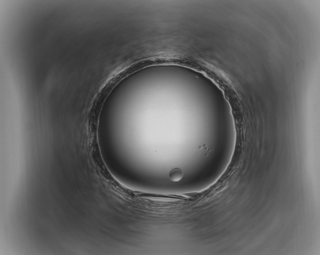 X0000116551160200912101407