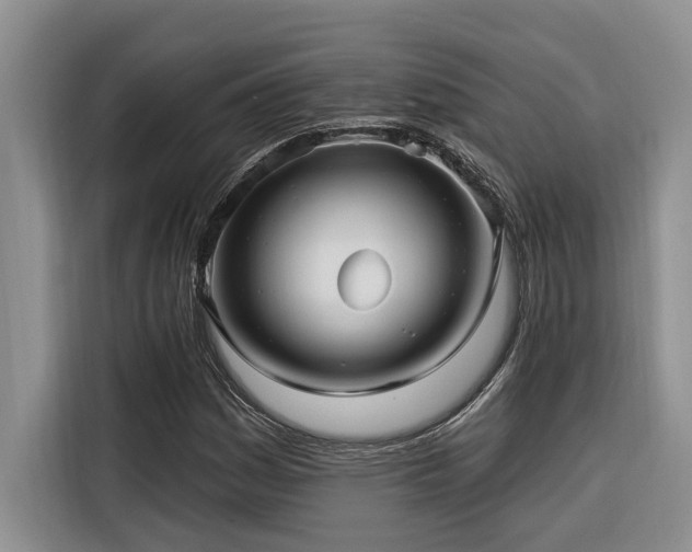 X0000116551161200912101407