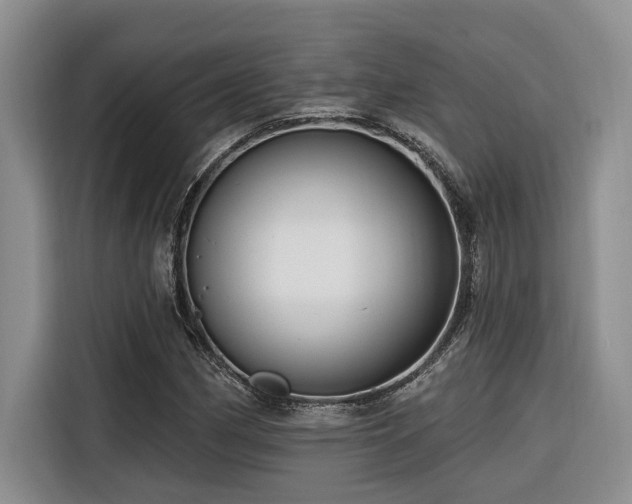 X0000116551162200912101407