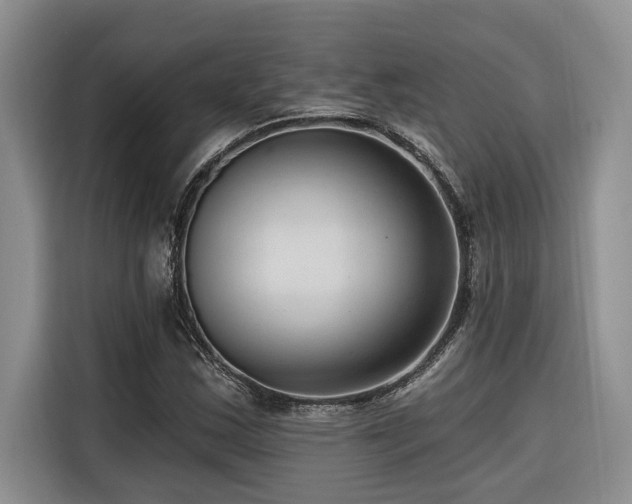 X0000116551163200912101407