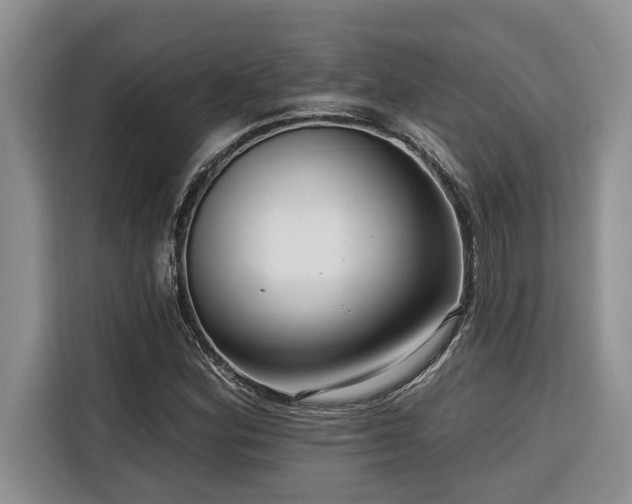 X0000116551164200912101407