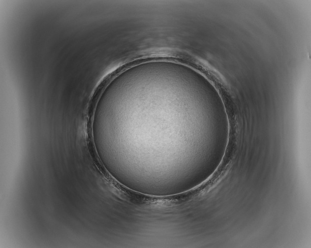 X0000116551166200912101407