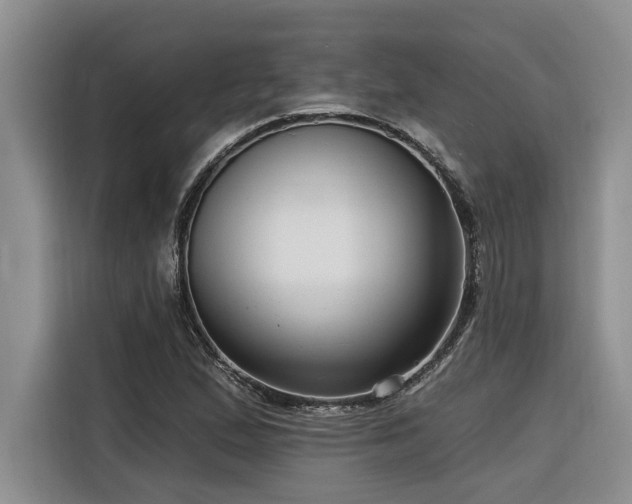 X0000116551167200912101407