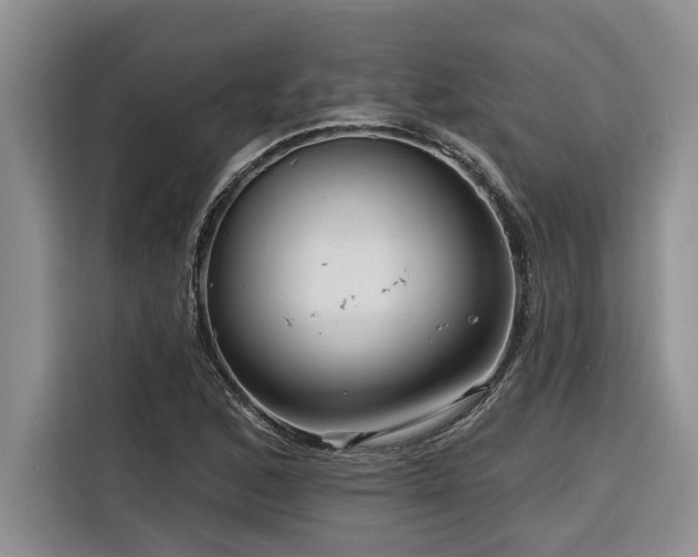 X0000116551168200912101407