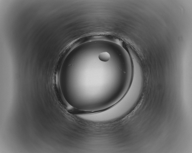 X0000116551169200912101407