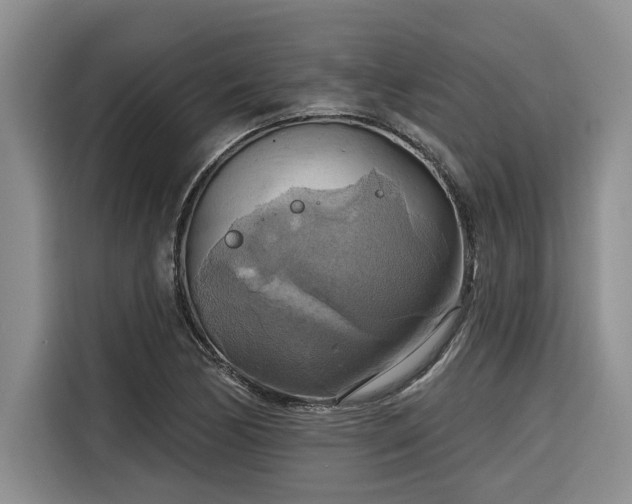 X0000116551170200912101407