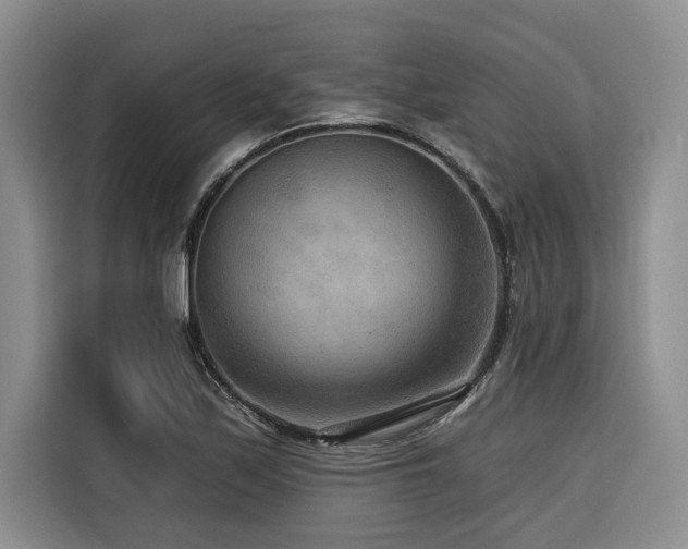 X0000116551171200912101407