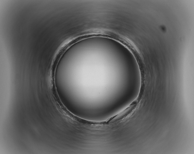X0000116551172200912101407