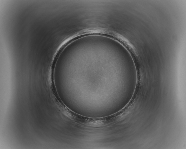 X0000116551174200912101407