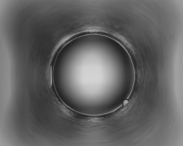 X0000116551175200912101407