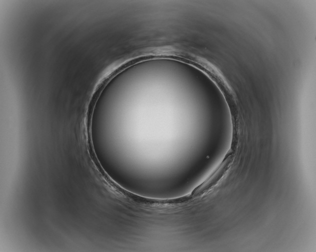 X0000116551176200912101407