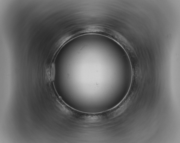 X0000116551177200912101407