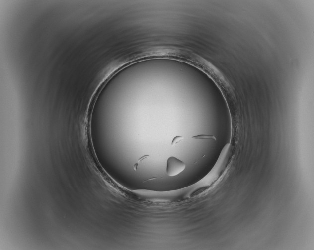 X0000116551178200912101407