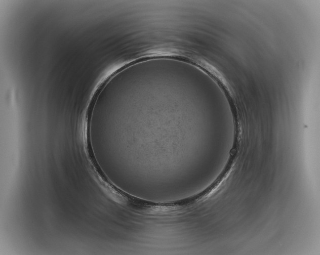 X0000116551179200912101407