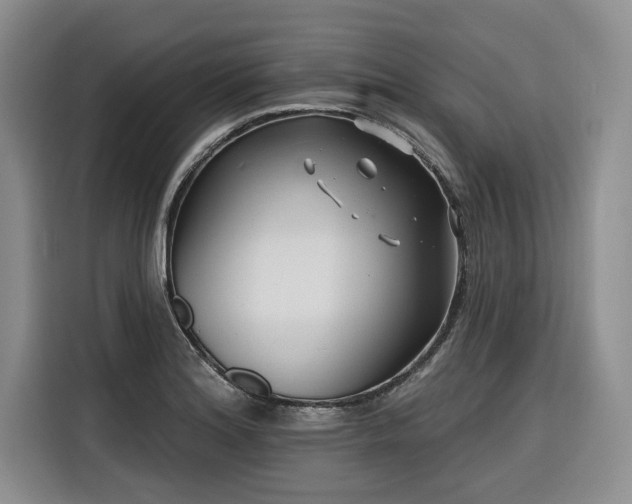 X0000116551180200912101407