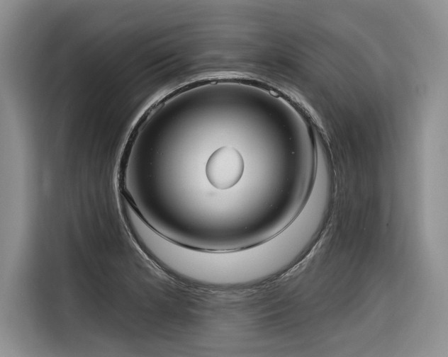X0000116551181200912101407