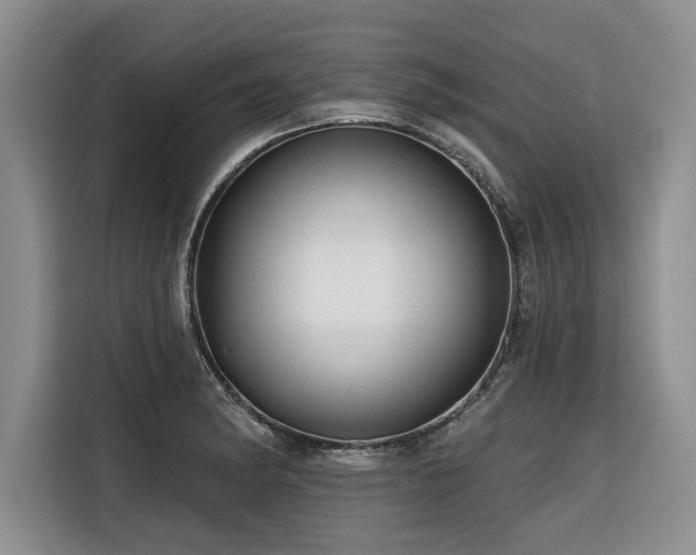 X0000116551182200912101407
