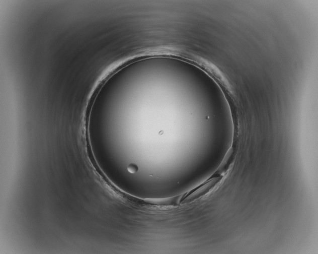 X0000116551184200912101407