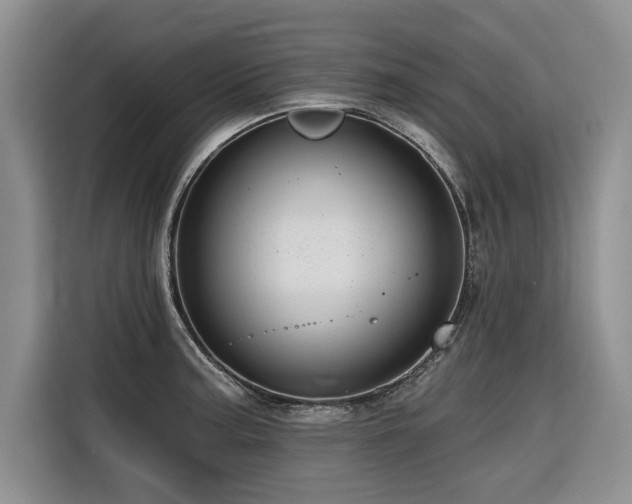 X0000116551187200912101407