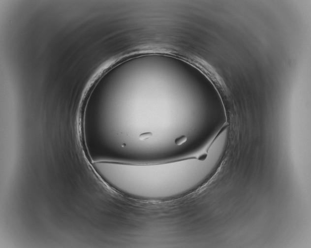 X0000116551188200912101407