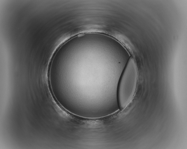 X0000116551189200912101407
