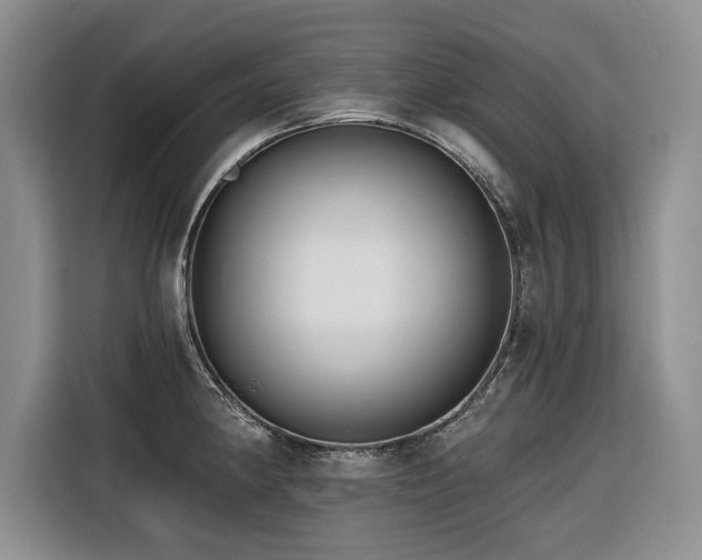 X0000116551190200912101407